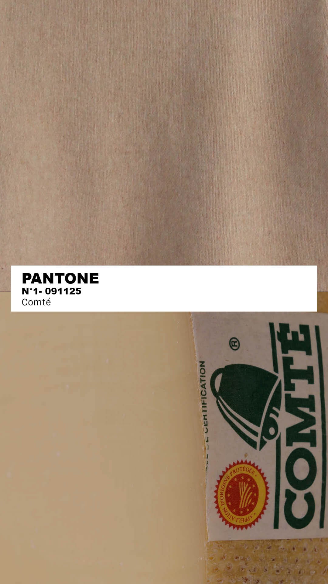 MANTEAU-PULL & ÉCHARPE - COMTÉ