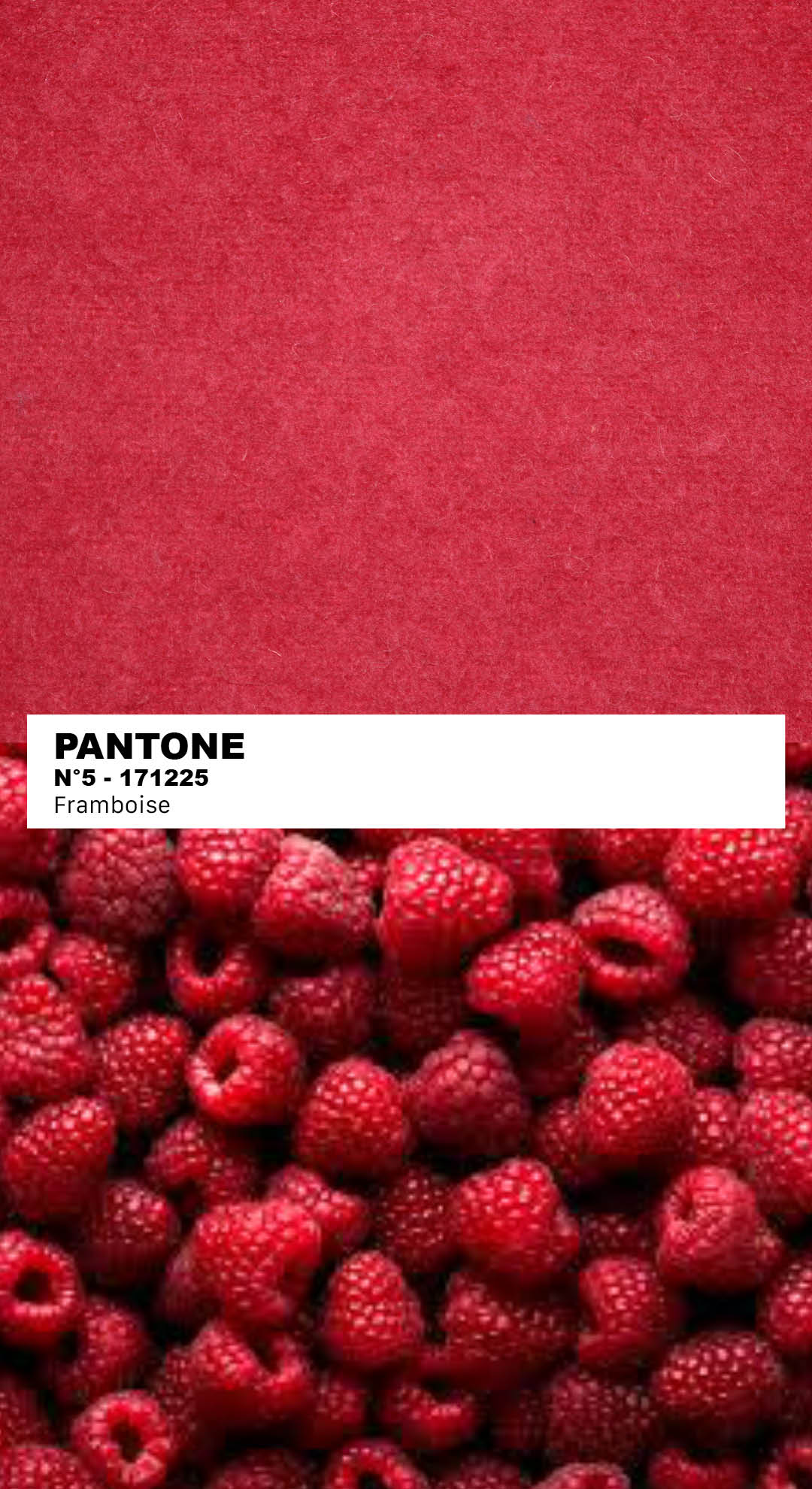MANTEAU-PULL & ÉCHARPE - FRAMBOISE