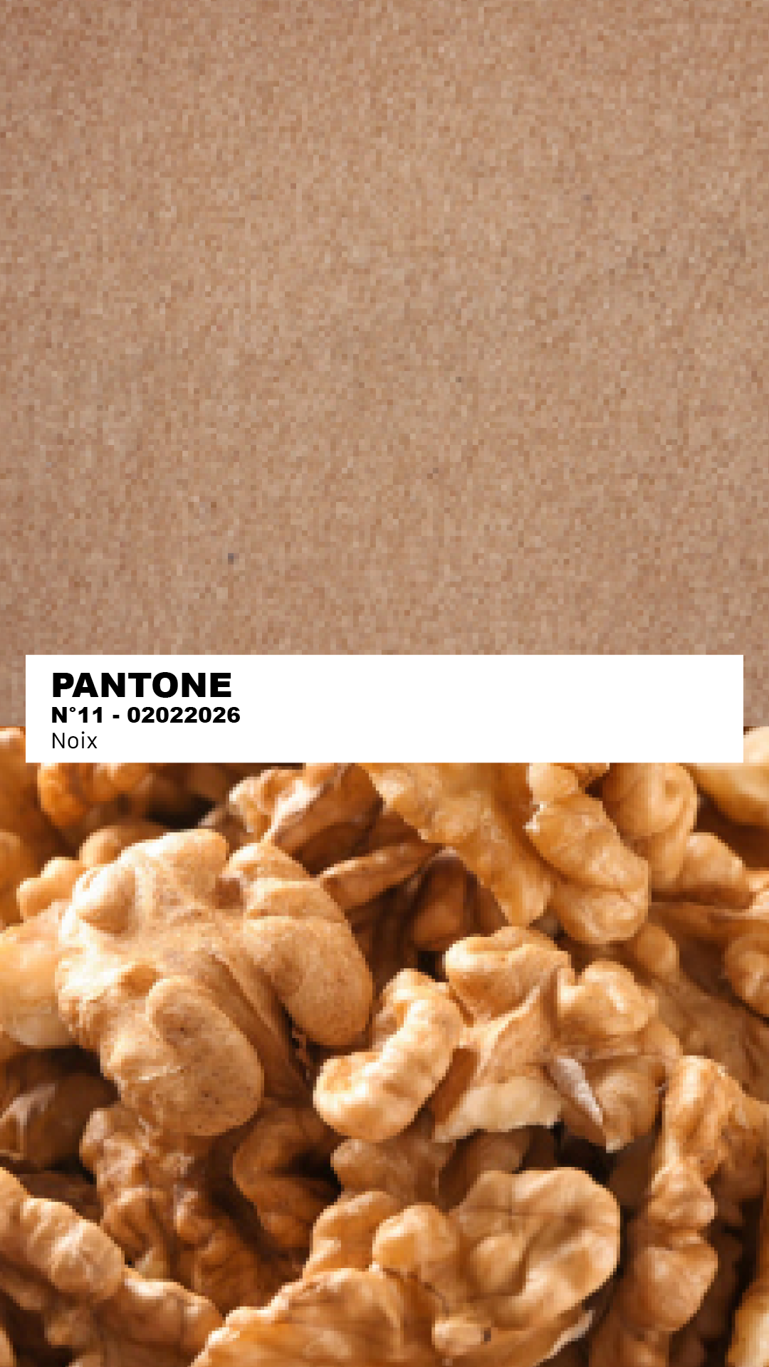 MANTEAU-PULL & ÉCHARPE - NOIX