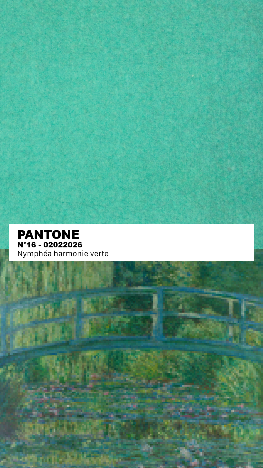 MANTEAU-PULL & ÉCHARPE - NYMPHEAS HARMONIE VERTE