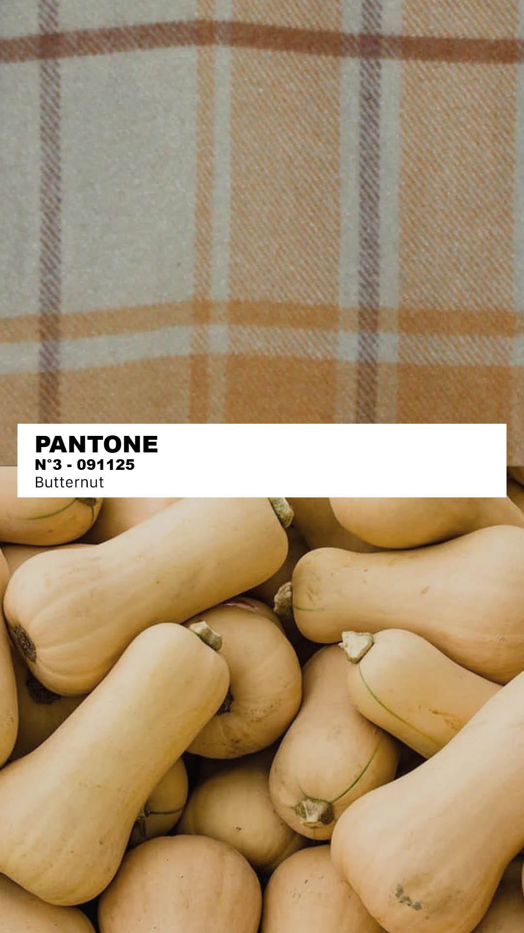 MANTEAU-PULL & ÉCHARPE - BUTTERNUT