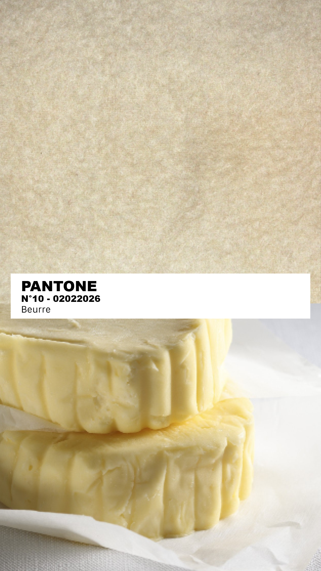 MANTEAU-PULL & ÉCHARPE - PATCHWORK N°2