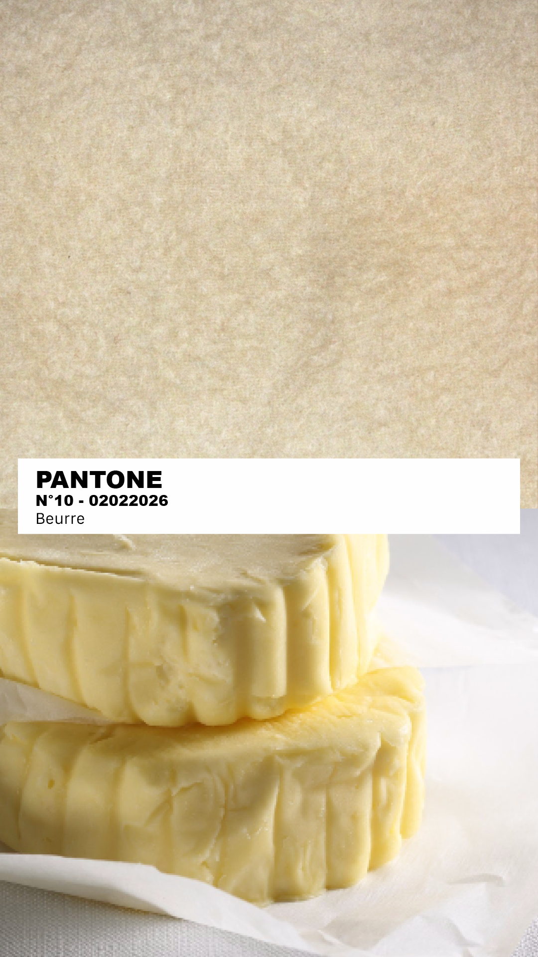 MANTEAU-PULL & ÉCHARPE - BEURRE N°2