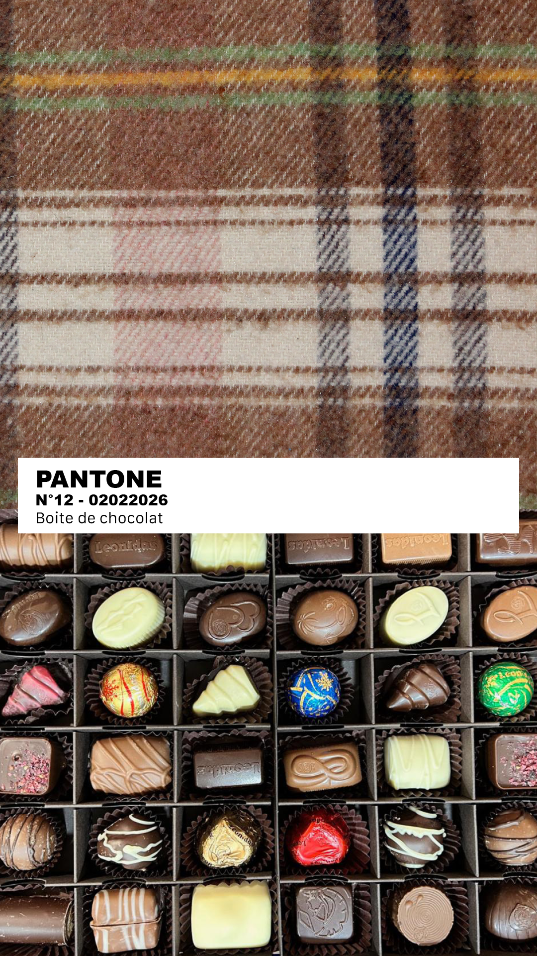 MANTEAU-PULL & ÉCHARPE - BOITE DE CHOCOLAT