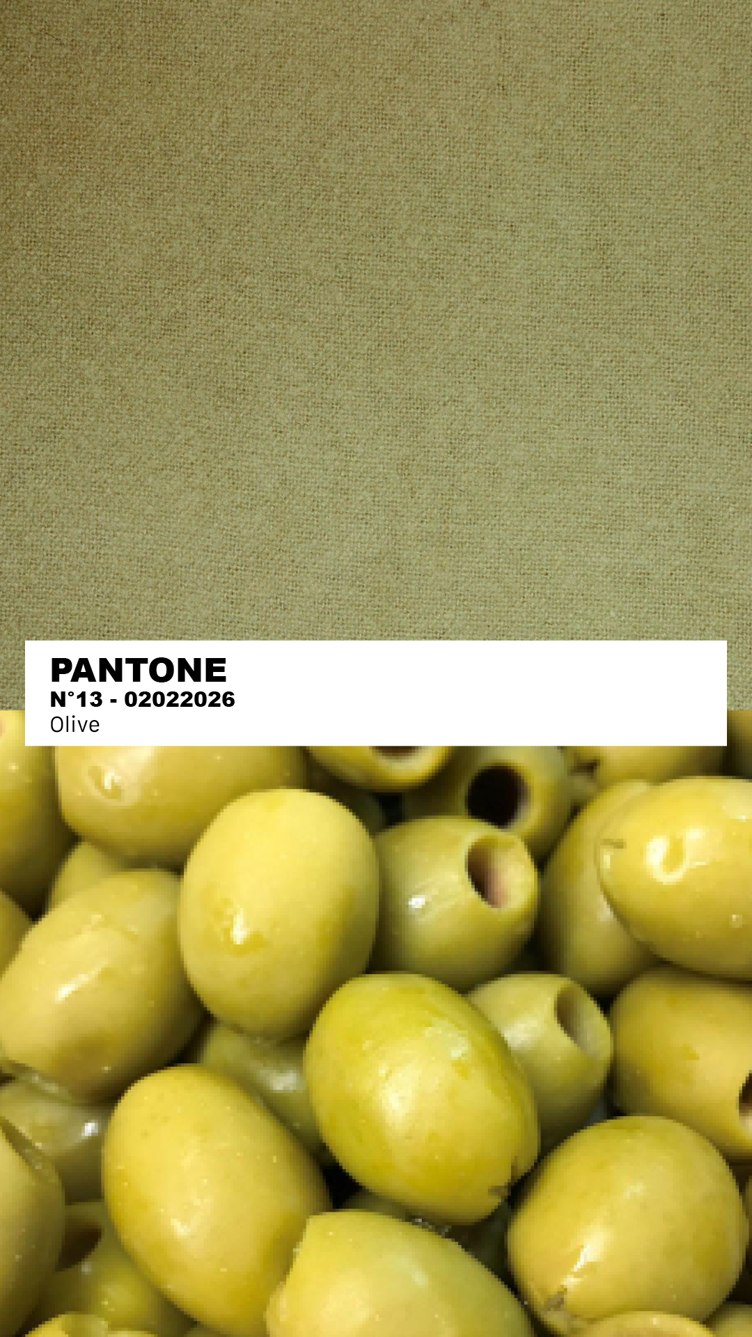 MANTEAU-PULL & ÉCHARPE - PATCHWORK N°1