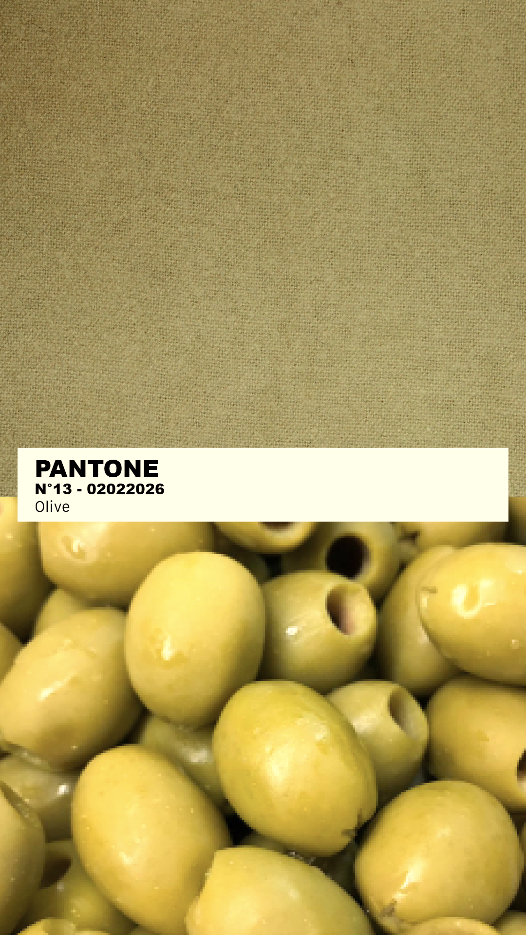 MANTEAU-PULL & ÉCHARPE - OLIVE