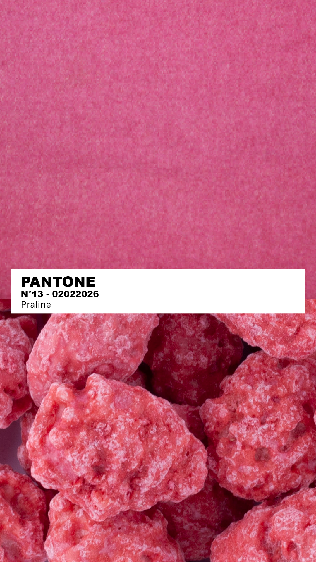 MANTEAU-PULL & ÉCHARPE - PRALINE N°1