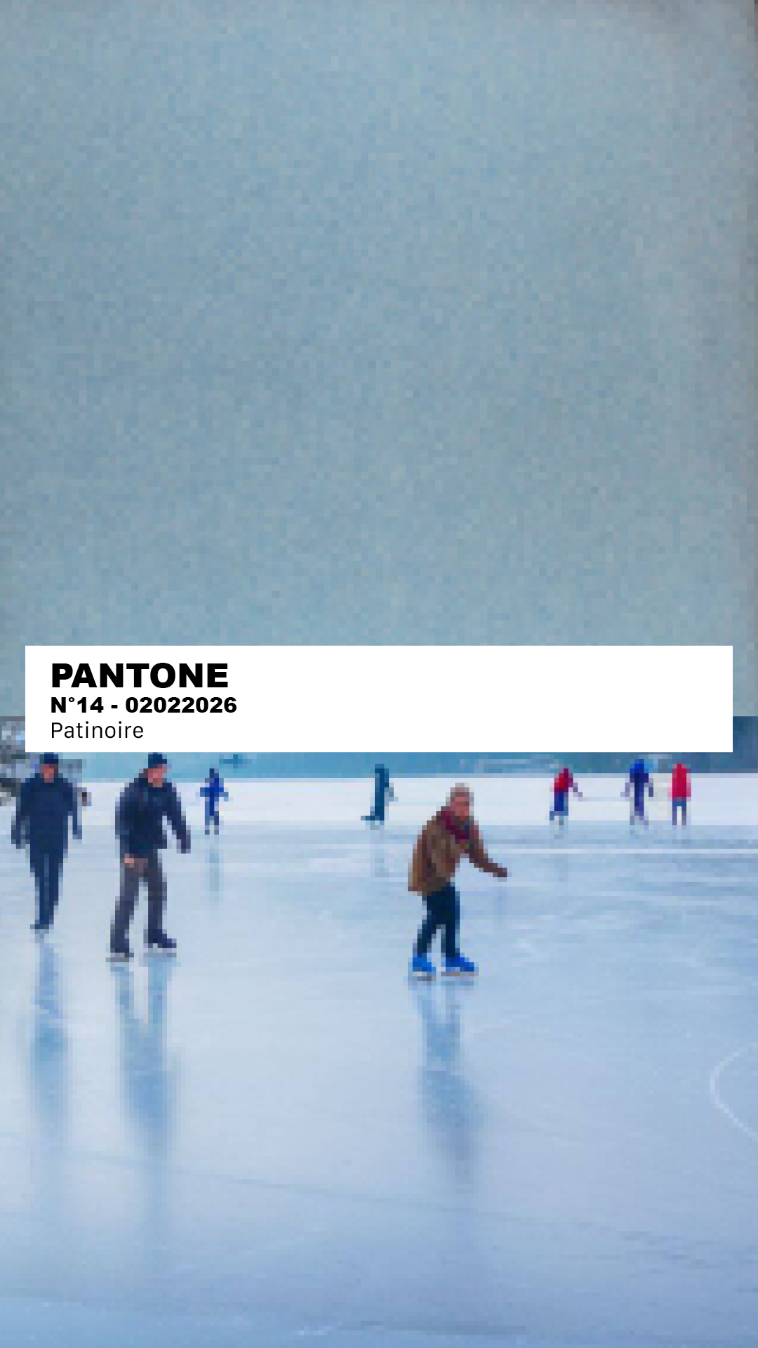 MANTEAU-PULL & ÉCHARPE - PATINOIRE