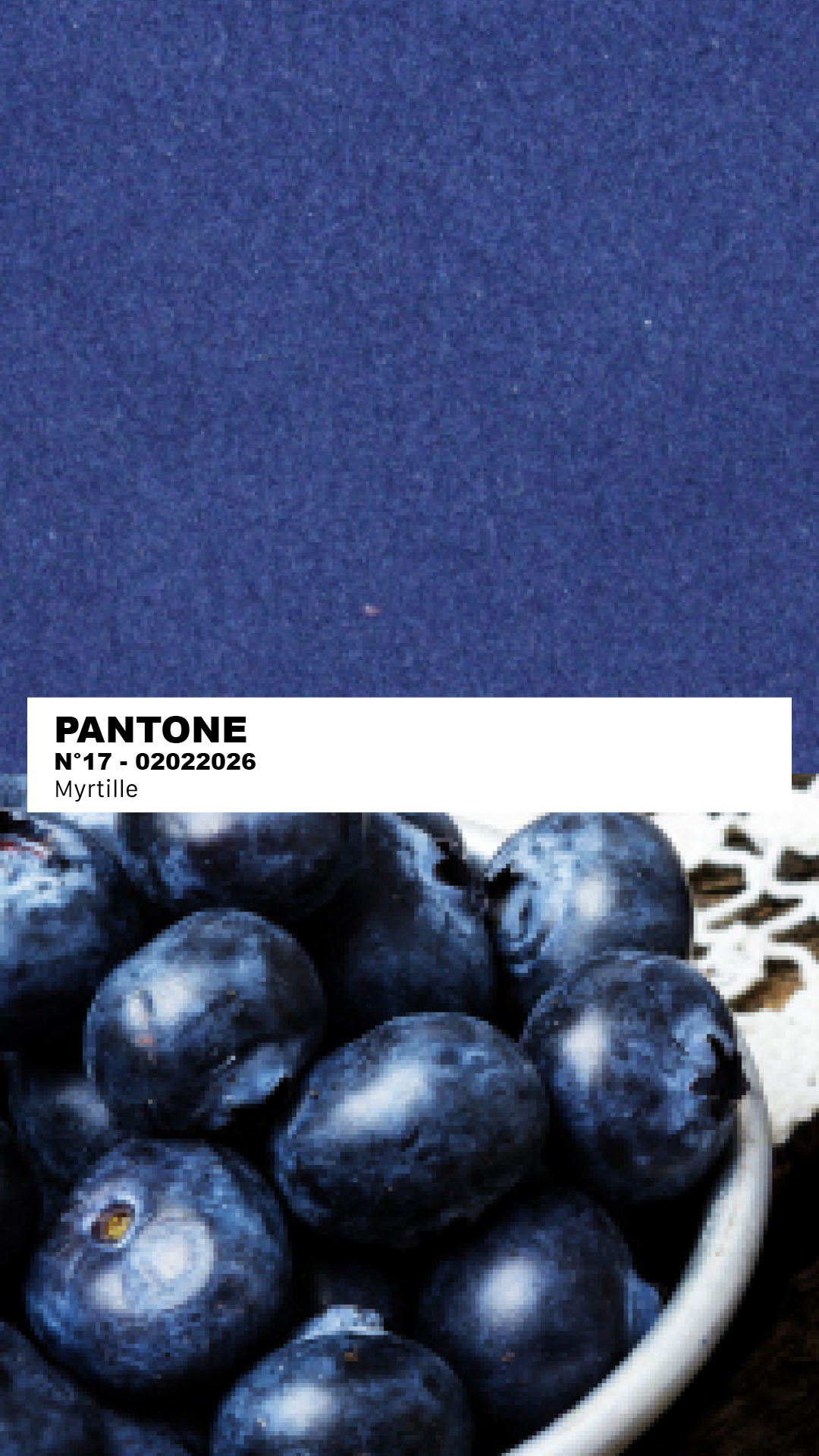 MANTEAU-PULL & ÉCHARPE - MYRTILLE