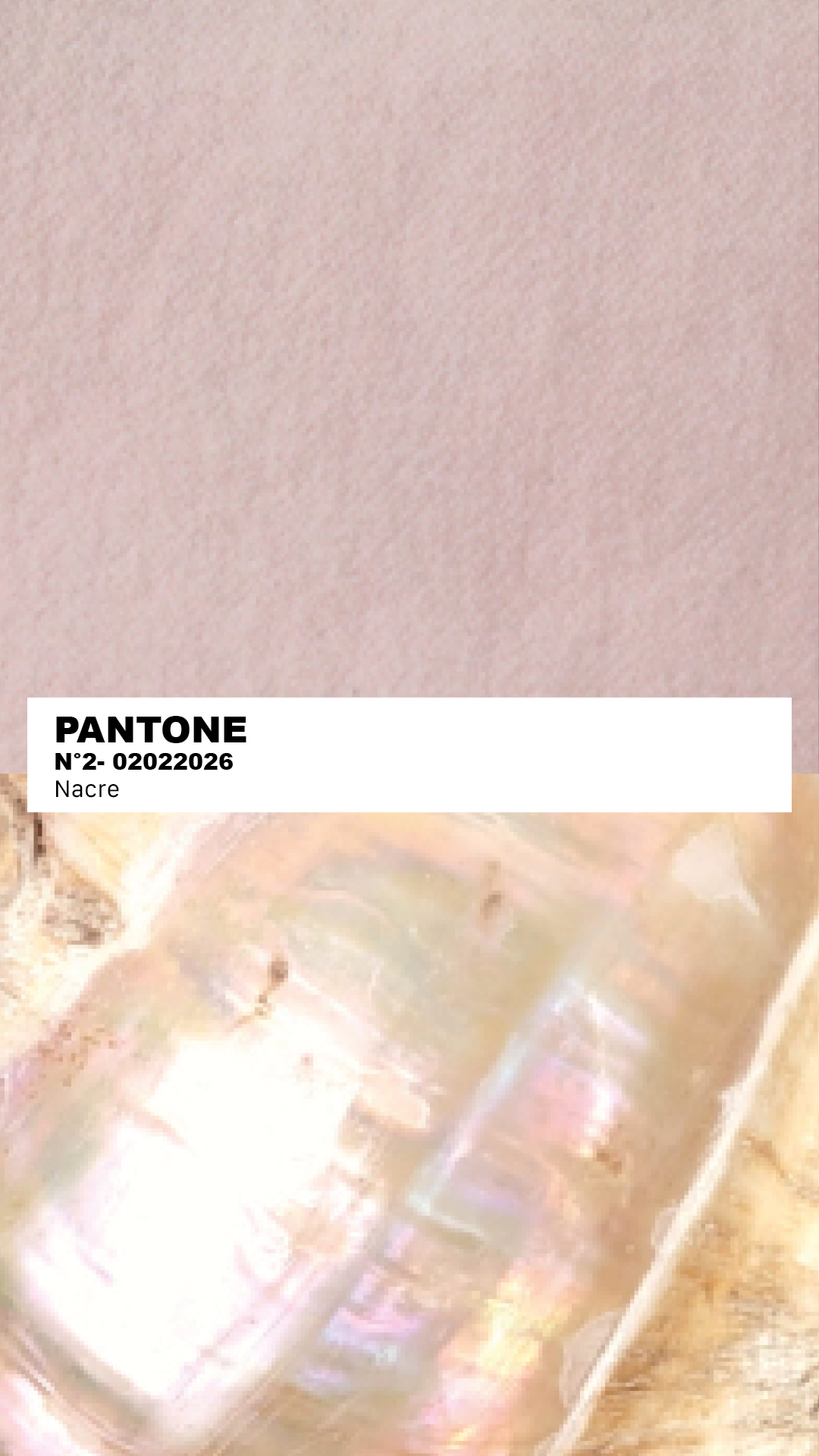 MANTEAU-PULL & ÉCHARPE - NACRE