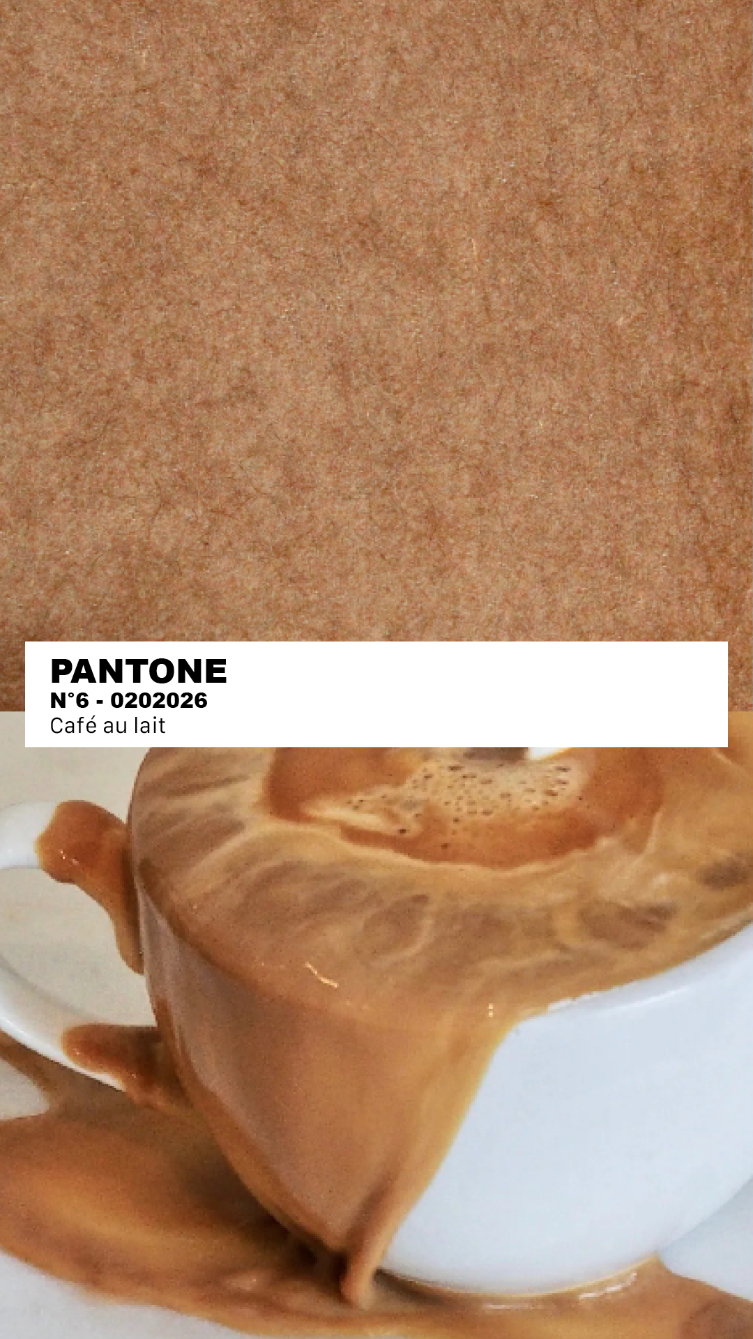 MANTEAU-PULL & ÉCHARPE - CAFÉ AU LAIT