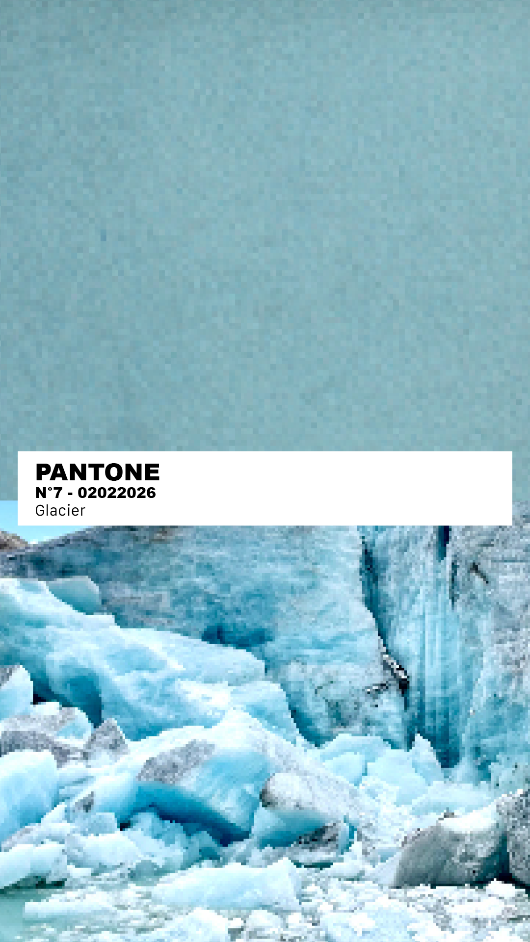 MANTEAU-PULL & ÉCHARPE - GLACIER