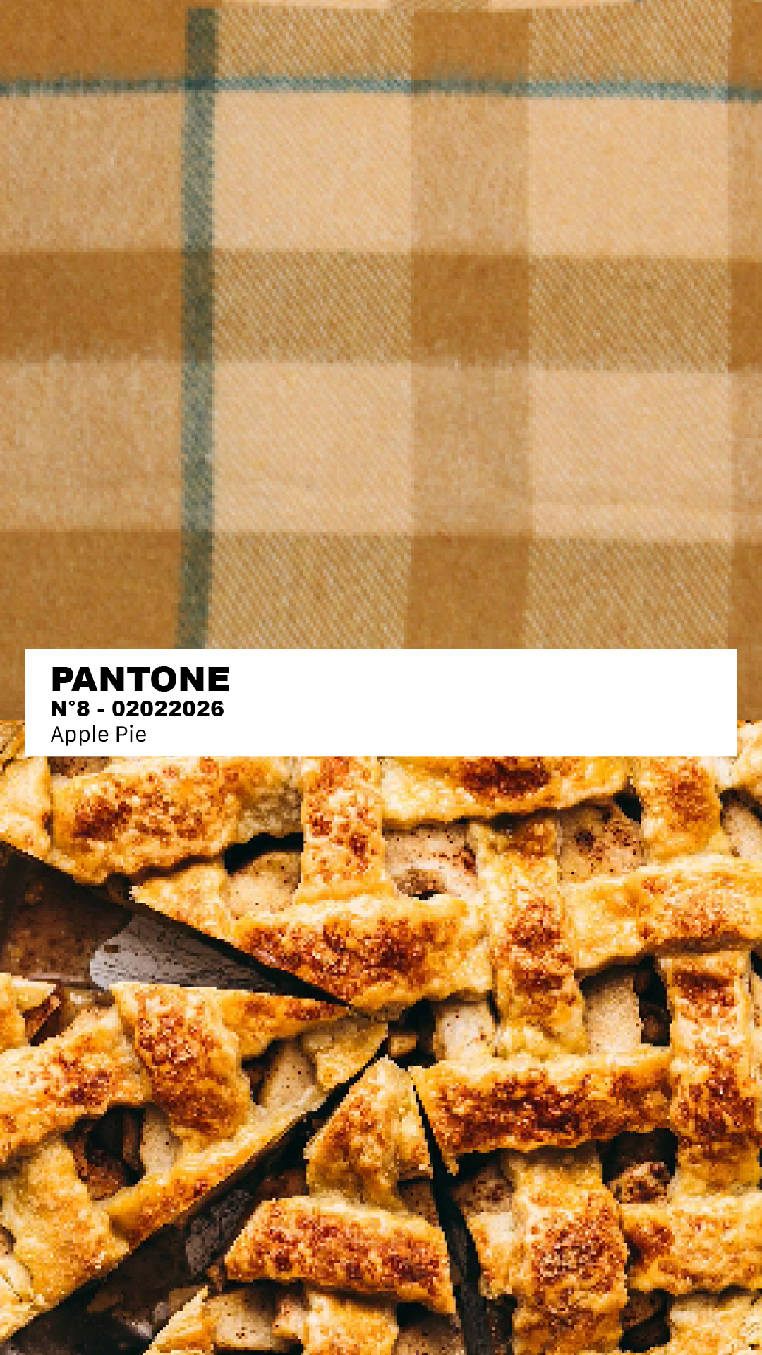 MANTEAU-PULL & ÉCHARPE - APPLE PIE