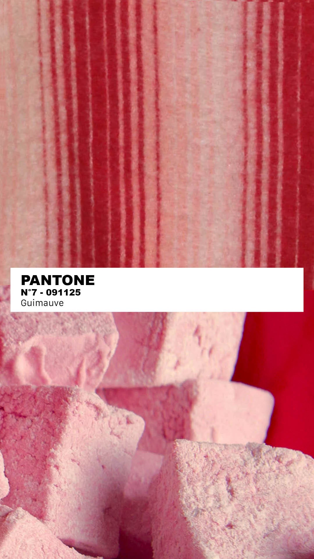 MANTEAU-PULL & ÉCHARPE - GUIMAUVE